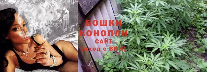 Шишки марихуана SATIVA & INDICA  наркота  Петровск-Забайкальский 